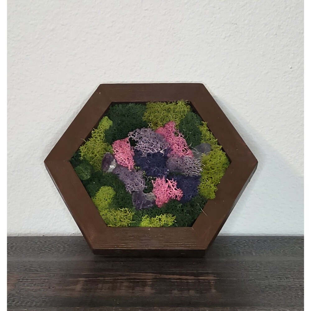 Preserved Moss Wall Art Handcrafted 8x9" Hexagonal Wooden Frame